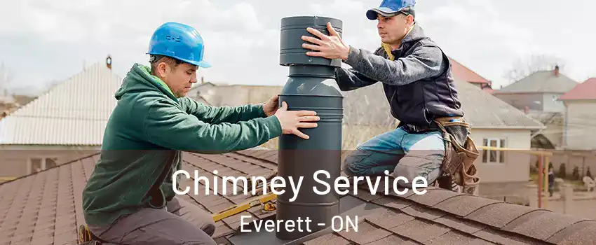  Chimney Service Everett - ON