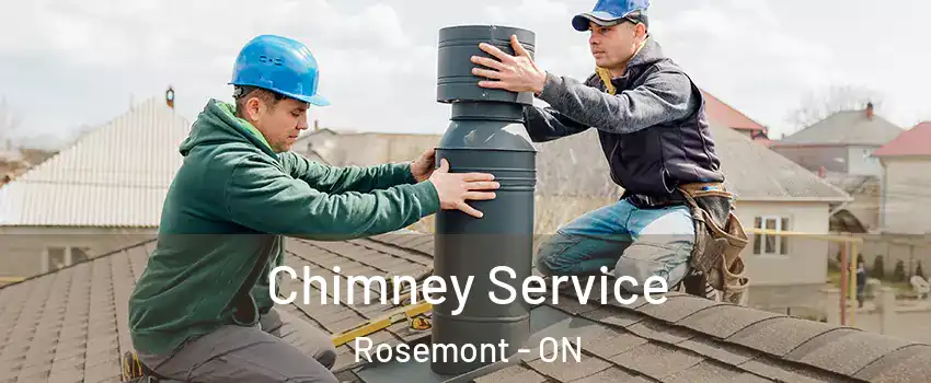  Chimney Service Rosemont - ON