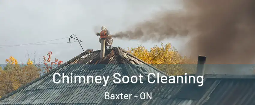  Chimney Soot Cleaning Baxter - ON