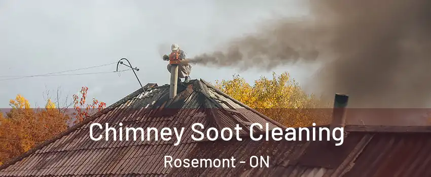  Chimney Soot Cleaning Rosemont - ON