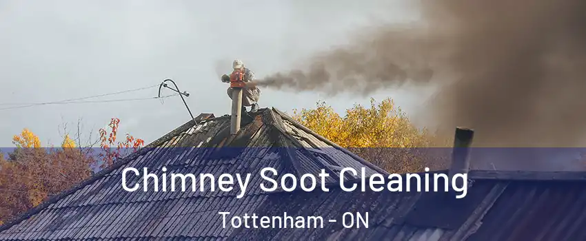  Chimney Soot Cleaning Tottenham - ON