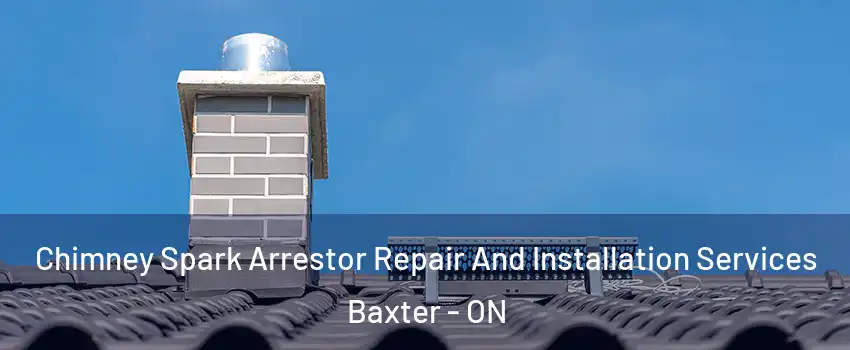  Chimney Spark Arrestor Repair And Installation Services Baxter - ON