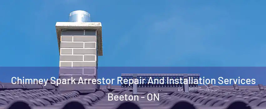  Chimney Spark Arrestor Repair And Installation Services Beeton - ON