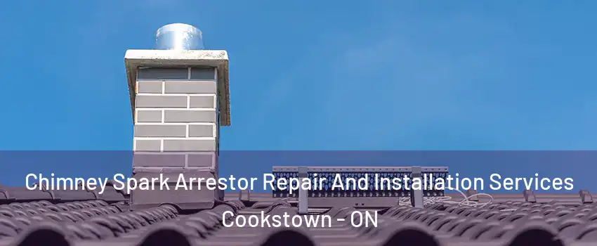  Chimney Spark Arrestor Repair And Installation Services Cookstown - ON