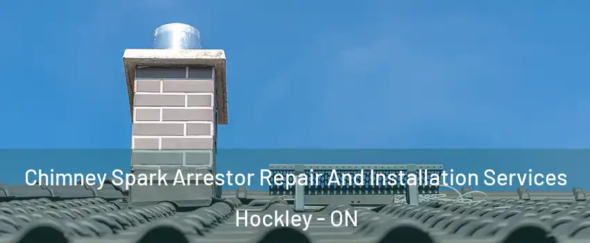  Chimney Spark Arrestor Repair And Installation Services Hockley - ON