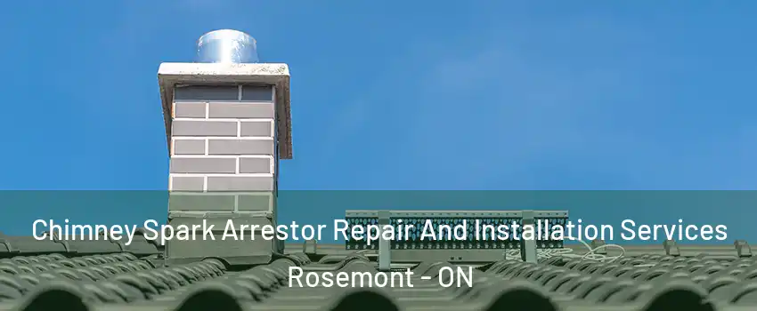  Chimney Spark Arrestor Repair And Installation Services Rosemont - ON