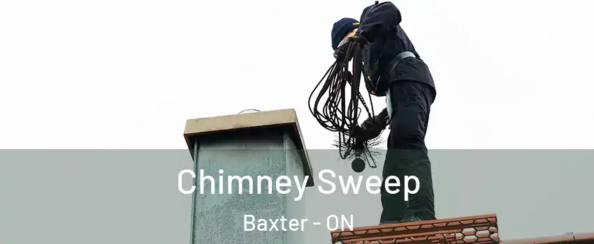  Chimney Sweep Baxter - ON