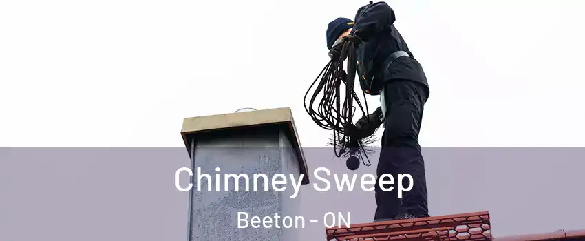  Chimney Sweep Beeton - ON