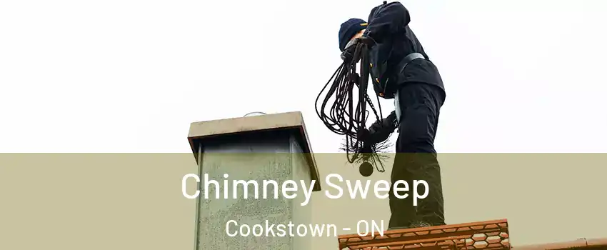  Chimney Sweep Cookstown - ON