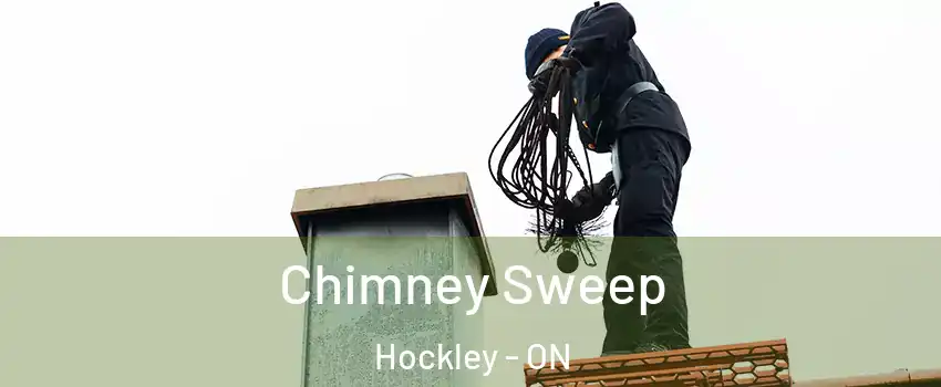  Chimney Sweep Hockley - ON