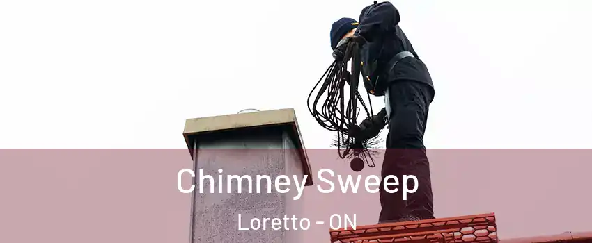  Chimney Sweep Loretto - ON