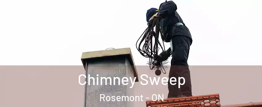  Chimney Sweep Rosemont - ON