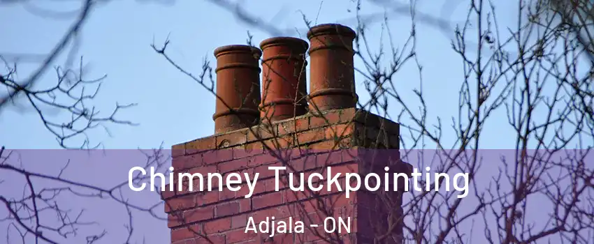  Chimney Tuckpointing Adjala - ON