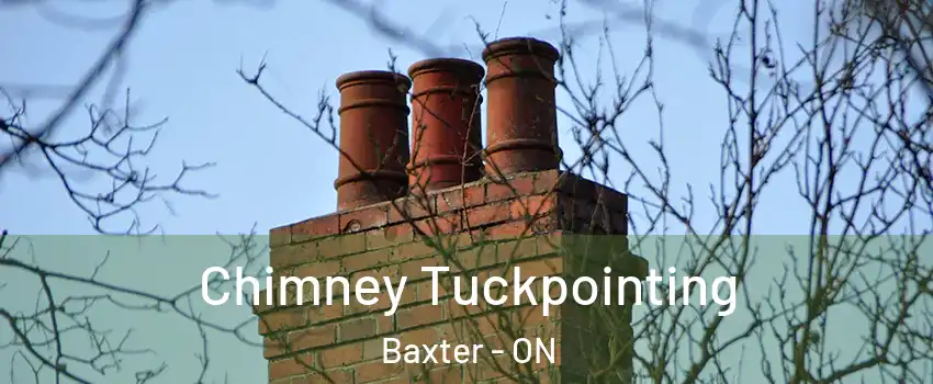  Chimney Tuckpointing Baxter - ON