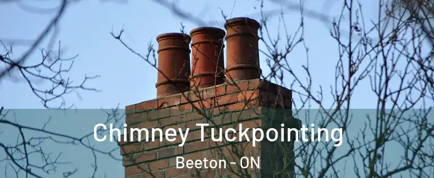  Chimney Tuckpointing Beeton - ON