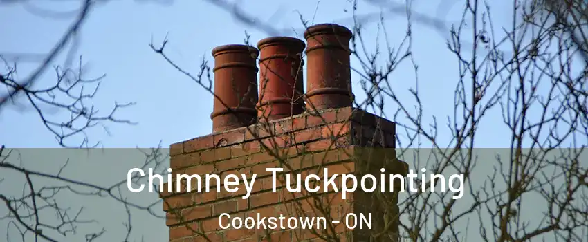  Chimney Tuckpointing Cookstown - ON