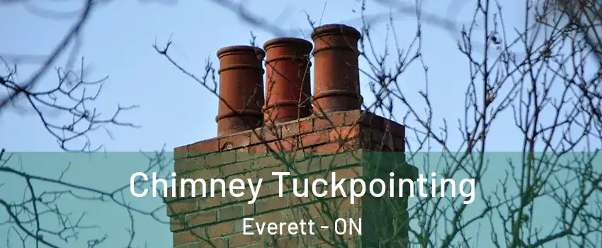  Chimney Tuckpointing Everett - ON