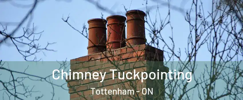  Chimney Tuckpointing Tottenham - ON