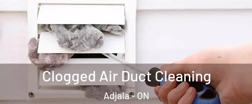  Clogged Air Duct Cleaning Adjala - ON