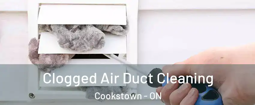  Clogged Air Duct Cleaning Cookstown - ON