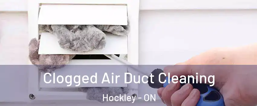  Clogged Air Duct Cleaning Hockley - ON