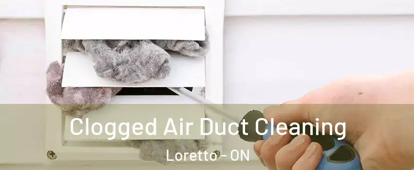  Clogged Air Duct Cleaning Loretto - ON
