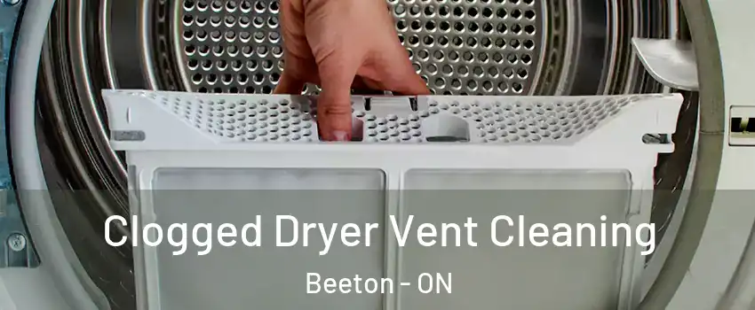  Clogged Dryer Vent Cleaning Beeton - ON