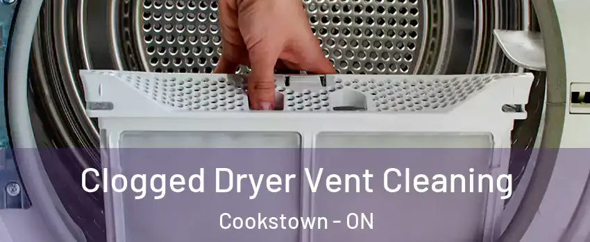  Clogged Dryer Vent Cleaning Cookstown - ON