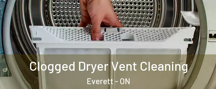  Clogged Dryer Vent Cleaning Everett - ON