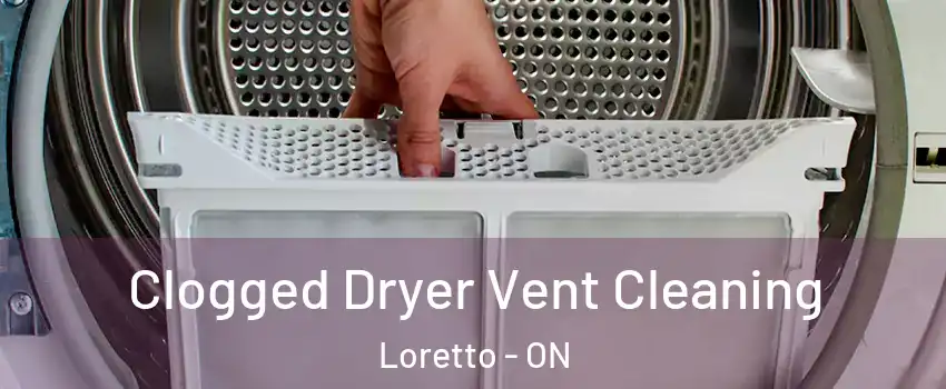  Clogged Dryer Vent Cleaning Loretto - ON