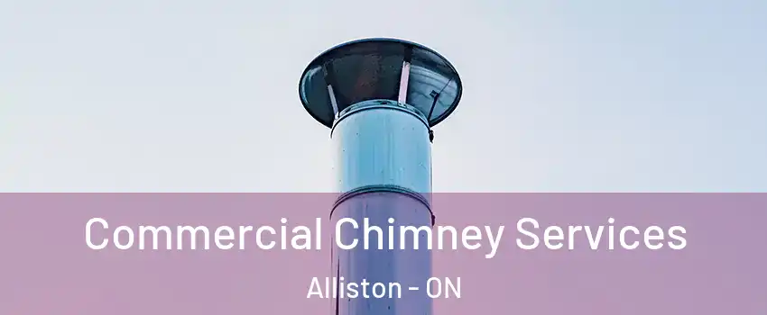  Commercial Chimney Services Alliston - ON