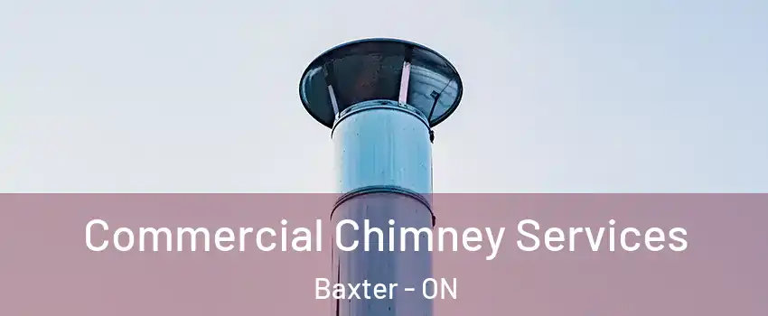  Commercial Chimney Services Baxter - ON