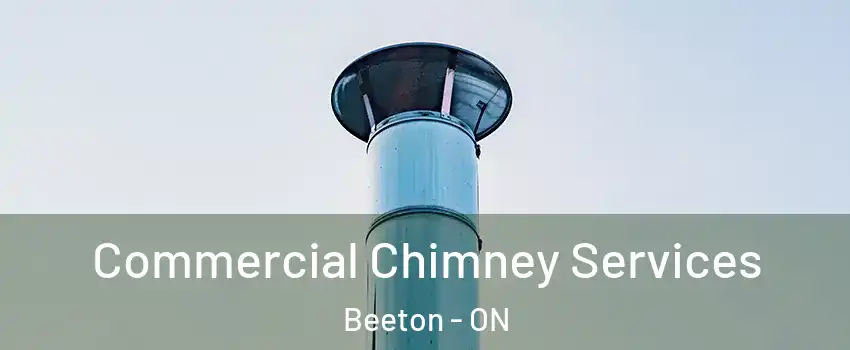  Commercial Chimney Services Beeton - ON