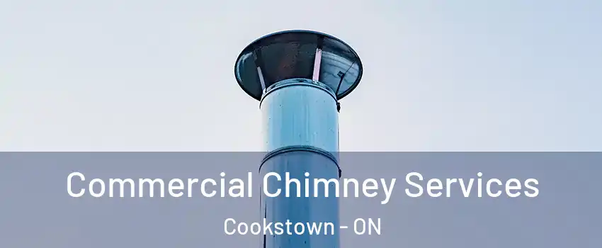  Commercial Chimney Services Cookstown - ON