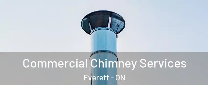  Commercial Chimney Services Everett - ON