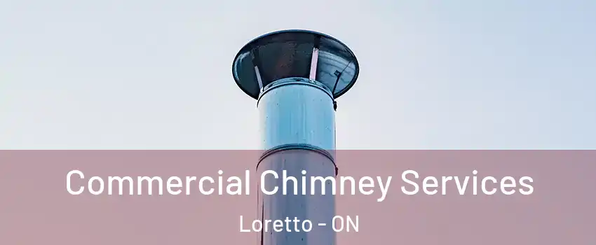  Commercial Chimney Services Loretto - ON