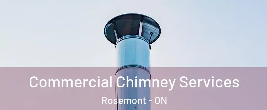  Commercial Chimney Services Rosemont - ON
