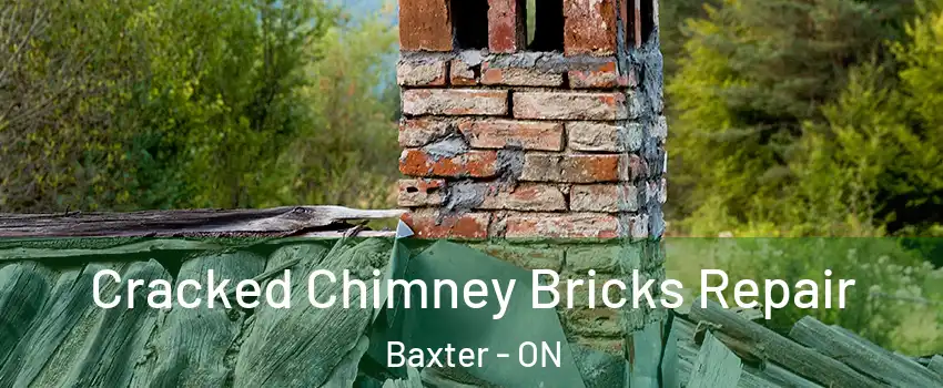  Cracked Chimney Bricks Repair Baxter - ON