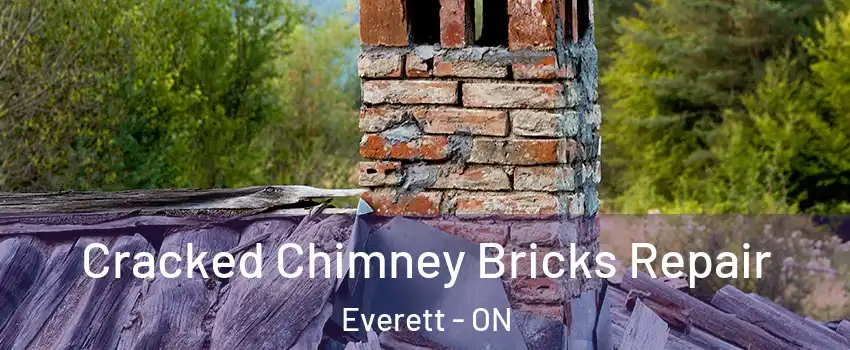  Cracked Chimney Bricks Repair Everett - ON