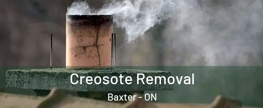  Creosote Removal Baxter - ON