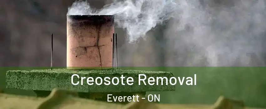  Creosote Removal Everett - ON