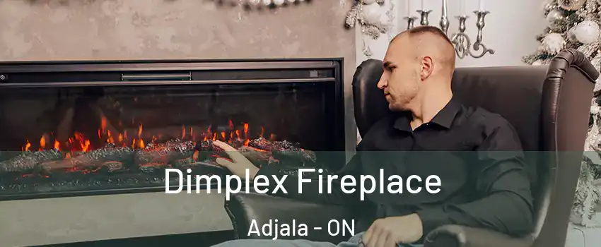  Dimplex Fireplace Adjala - ON
