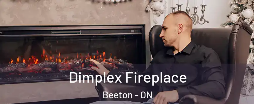  Dimplex Fireplace Beeton - ON