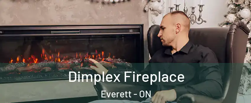  Dimplex Fireplace Everett - ON