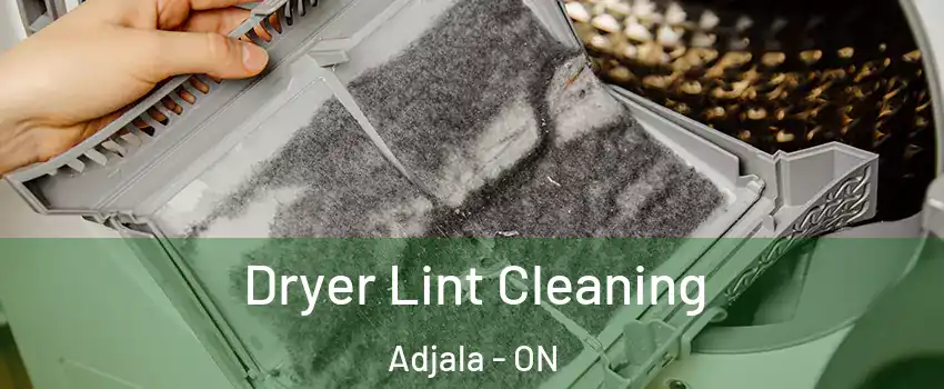  Dryer Lint Cleaning Adjala - ON