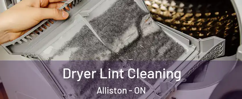  Dryer Lint Cleaning Alliston - ON