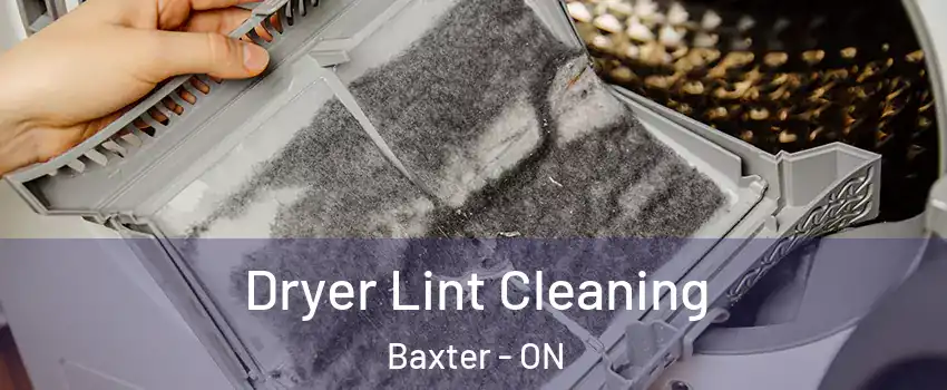  Dryer Lint Cleaning Baxter - ON