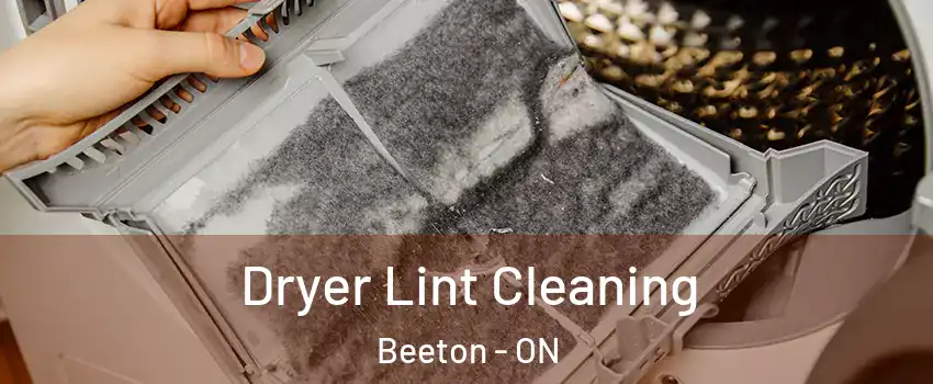  Dryer Lint Cleaning Beeton - ON