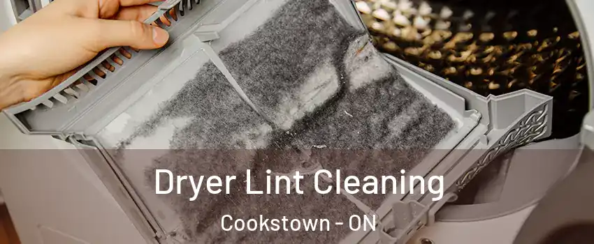  Dryer Lint Cleaning Cookstown - ON