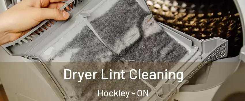  Dryer Lint Cleaning Hockley - ON